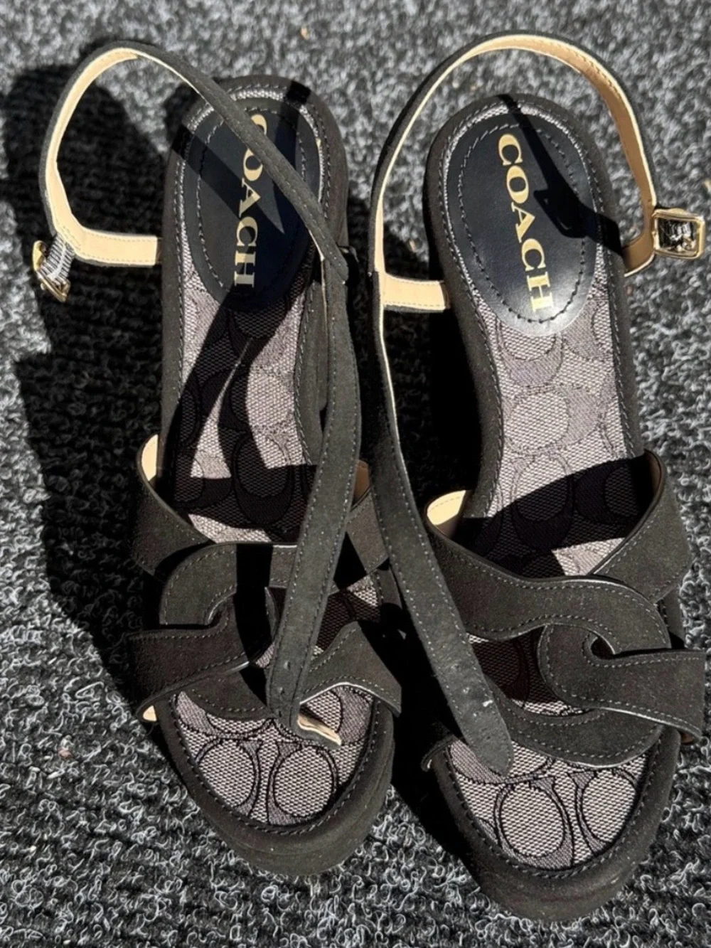 Coach Talina Suede Black Platform Sandals
